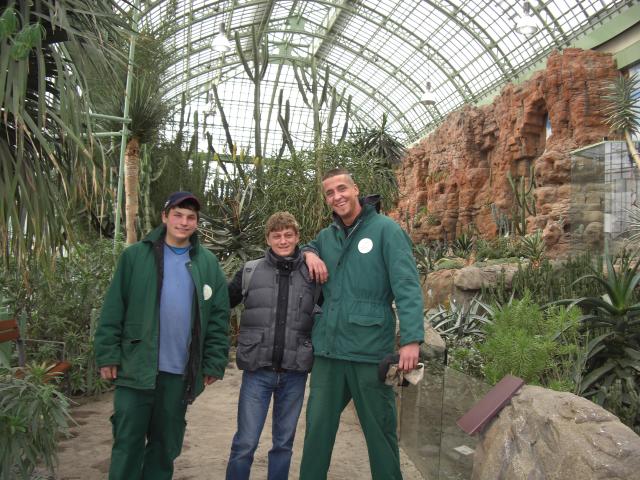 Ботанический сад в Вене (Австрия)