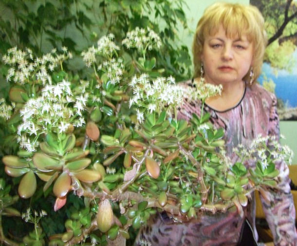Наталья Долгополова (d-nv) (г. Радужный, Владимирская область, Россия) 2008 (3784 відвідувань) Наталья Долгополова (d-nv) (г. Радужный, Владимирская область, Россия) 2008