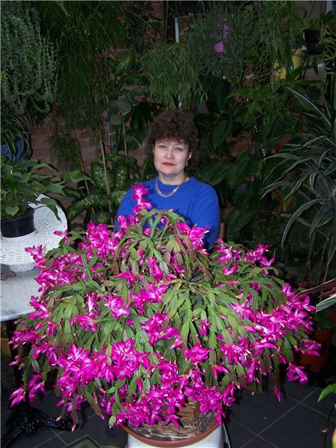Тамара Гусева (Tamara) (г. Антверпен, Бельгия) 2008 