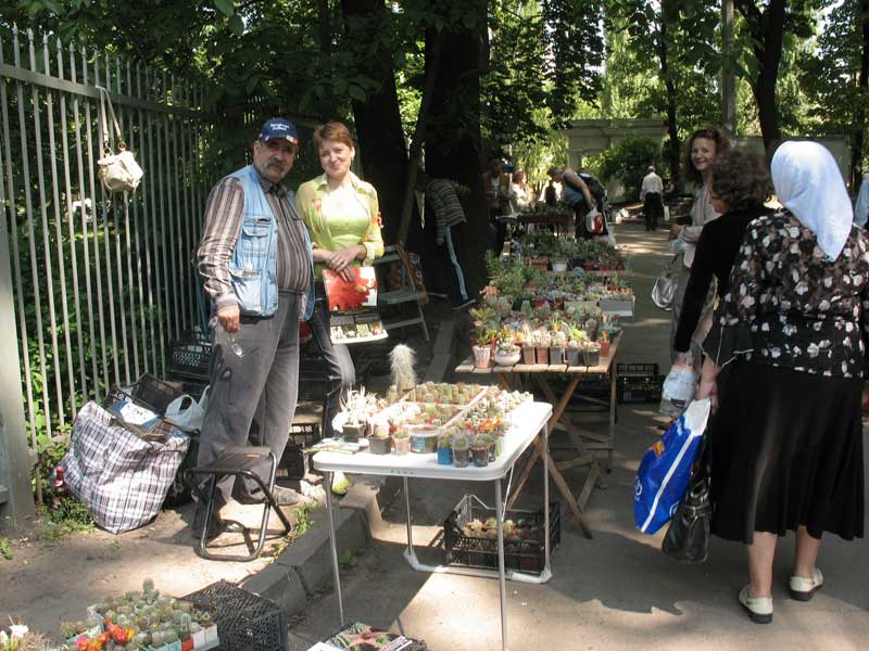   2009  -