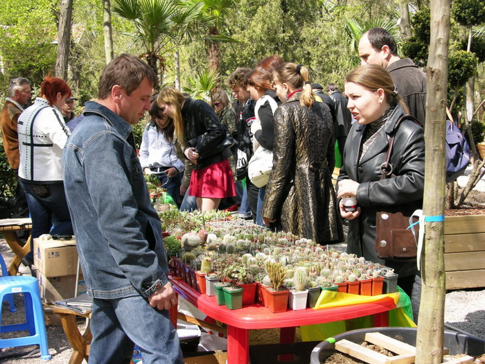 Олеся Рудина (Cactusledi) (Одесса). 2007 