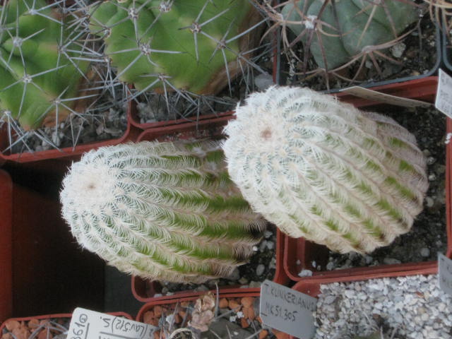  340-01