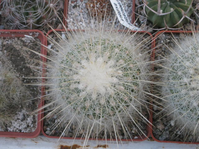  406