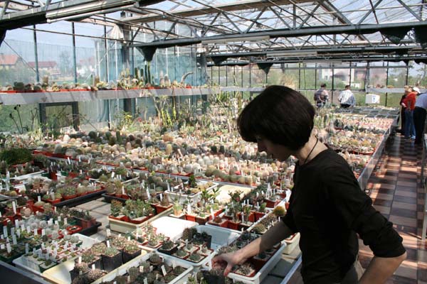 20080501 donetsk piltz ilyashenko 297