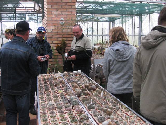Выставка 1 мая 2009 (Донецк)