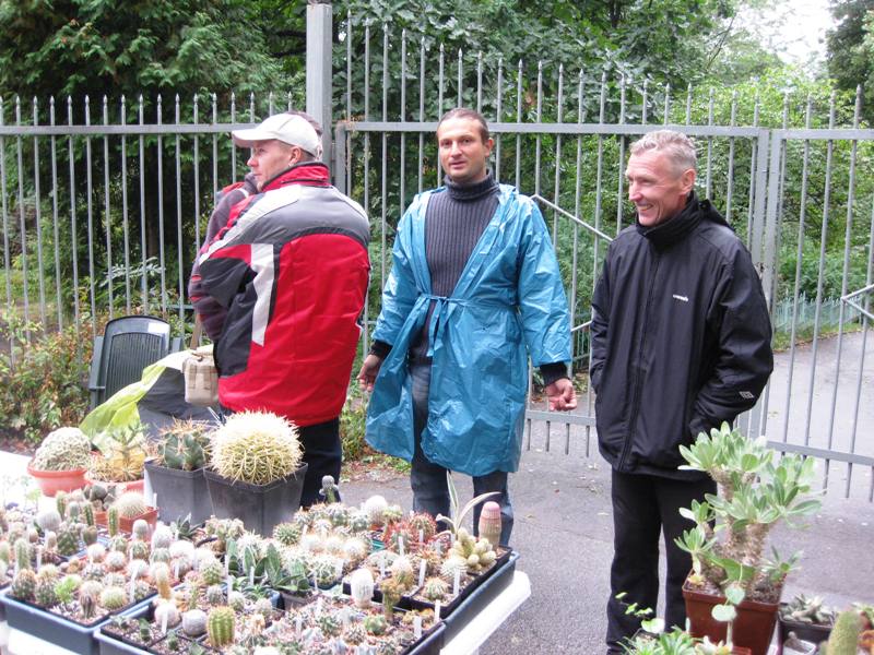 Выставка сентябрь 2008