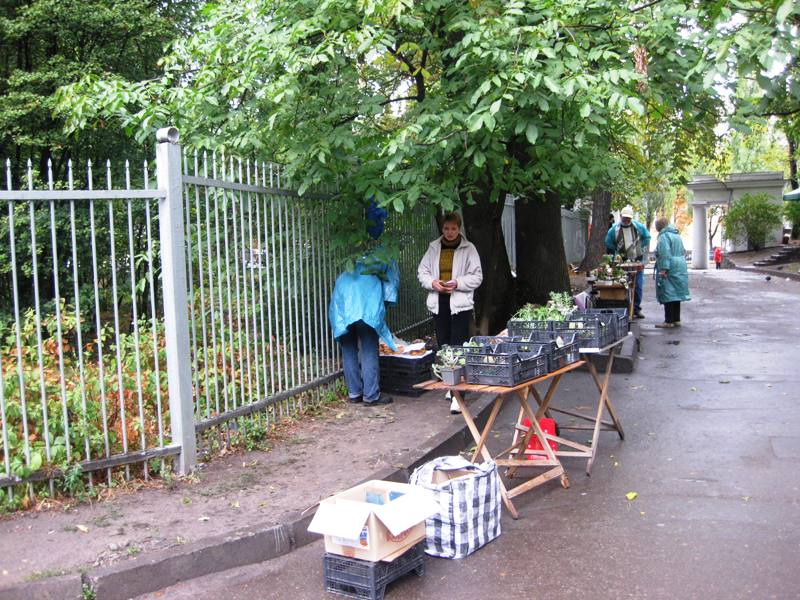 Выставка сентябрь 2008