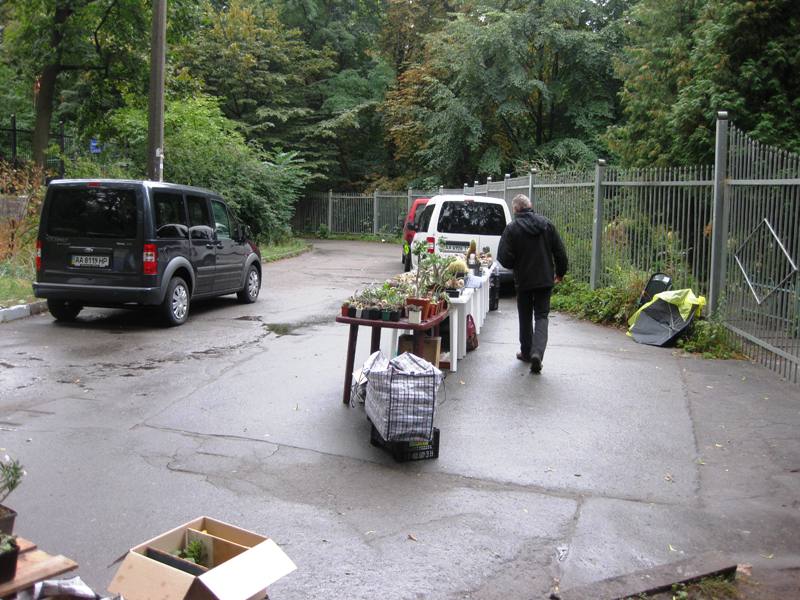 Выставка сентябрь 2008