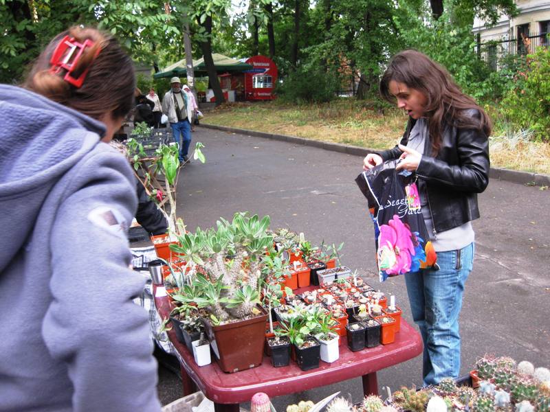 Выставка сентябрь 2008