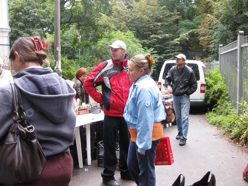 Выставка сентябрь 2008