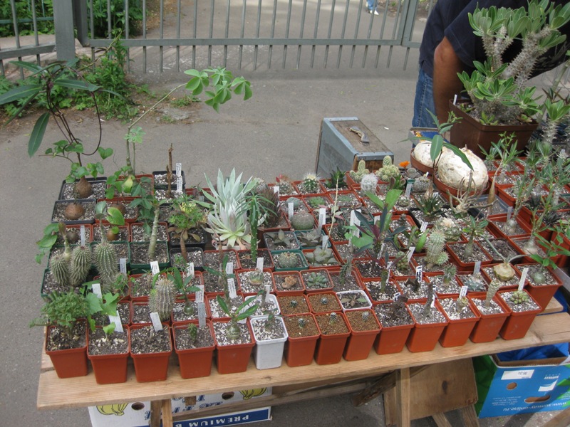 Выставка май 2008