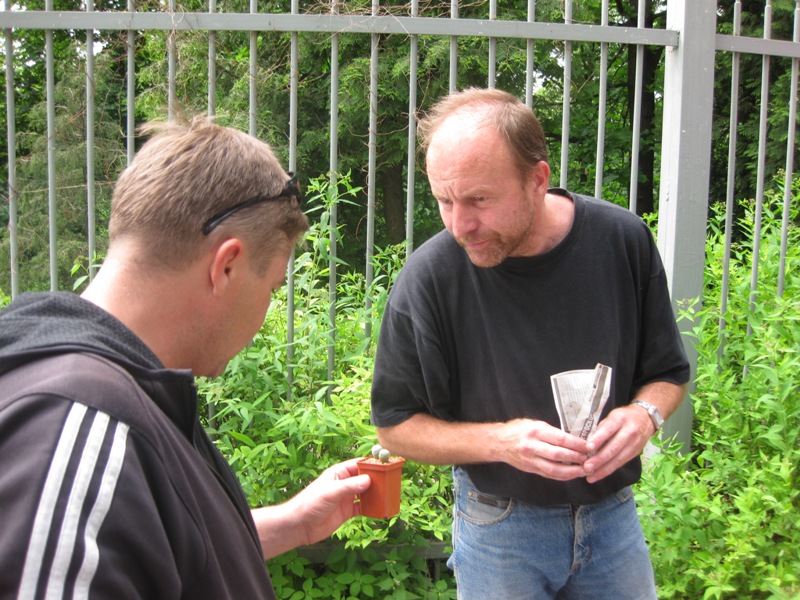 Выставка май 2008