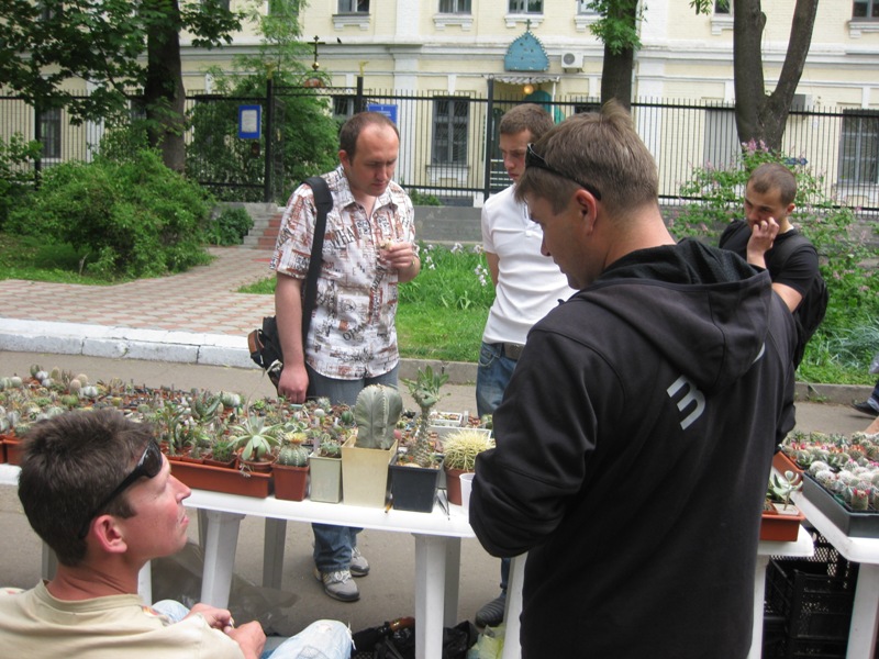 Выставка май 2008