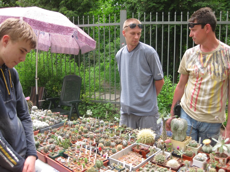 Выставка май 2008