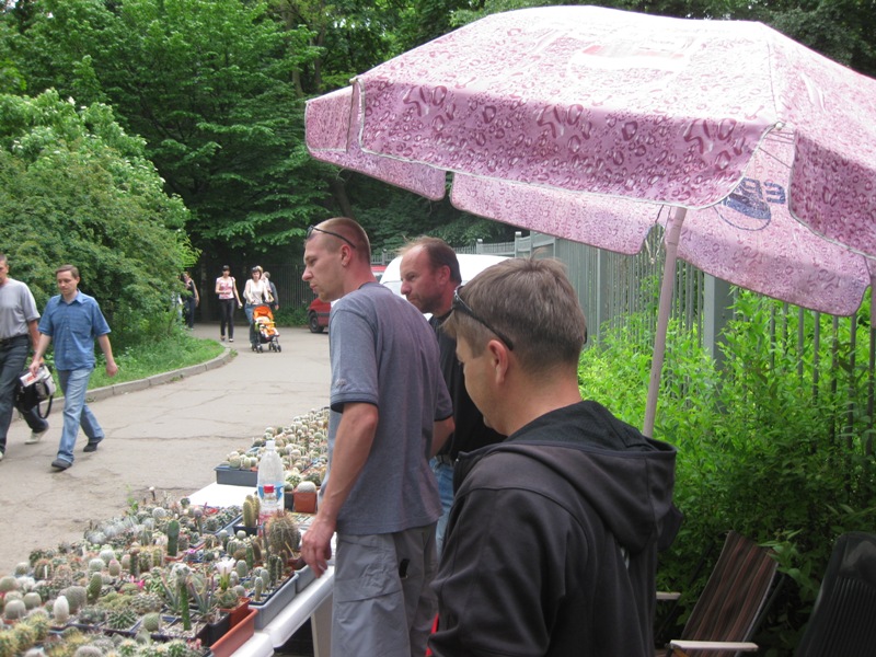 Выставка май 2008