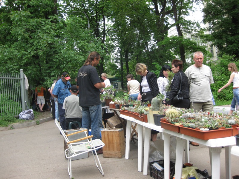 Выставка май 2008