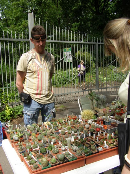 Выставка май 2008