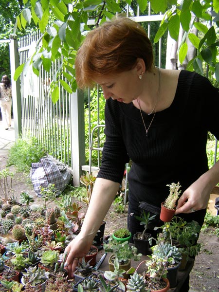 Выставка май 2008
