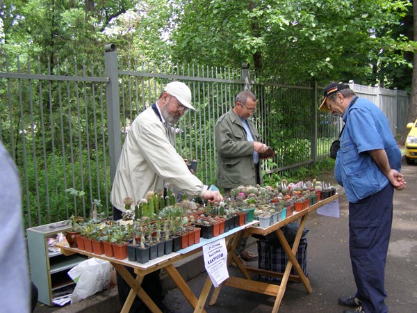 Выставка май 2008