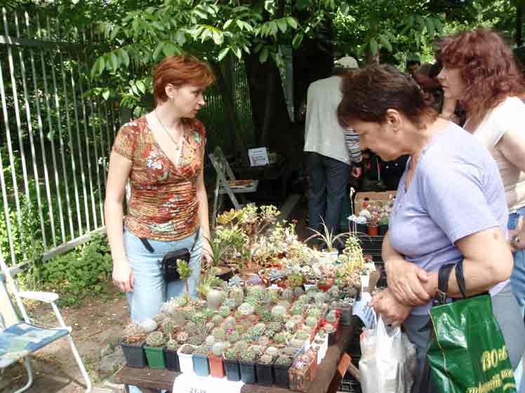 Выставка май 2008
