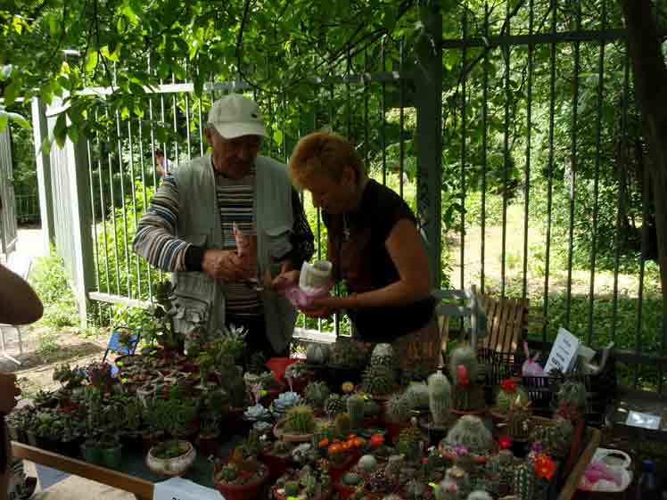 Выставка май 2008