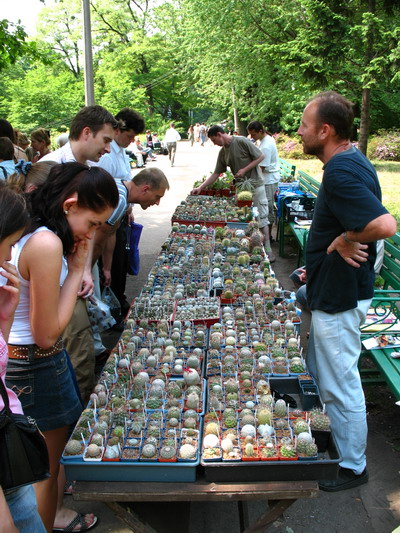 Выставка май 2007