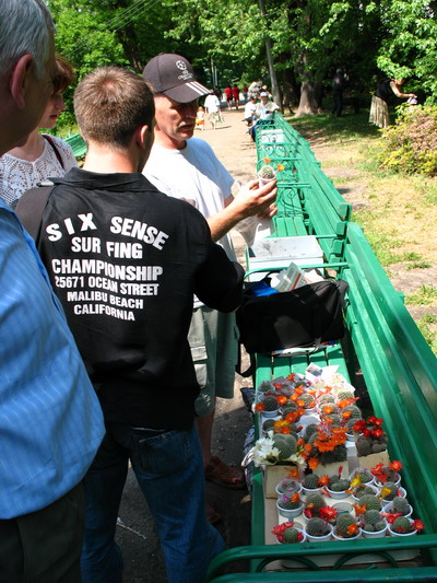 Выставка май 2007