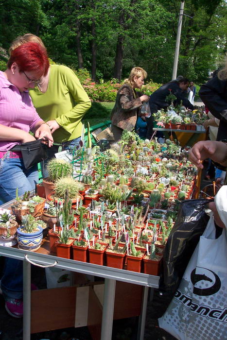 Выставка май 2006 (Киев)