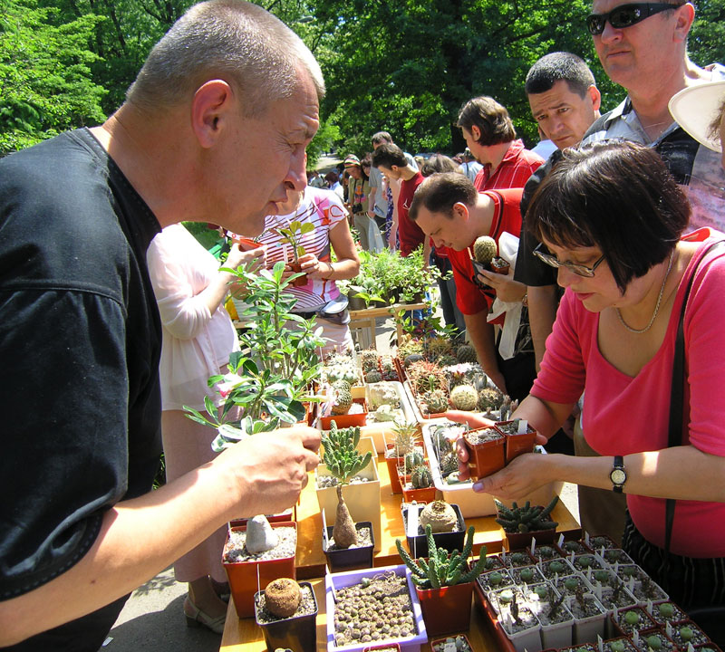 Выставка май 2005 (Киев)