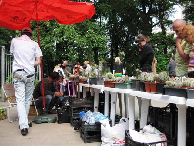 Выставка май 2009