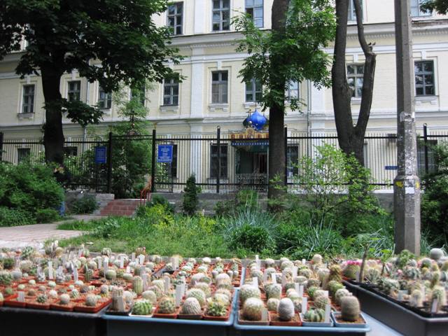 Выставка май 2009