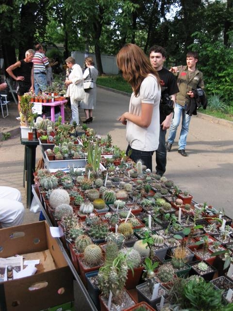 Выставка май 2009