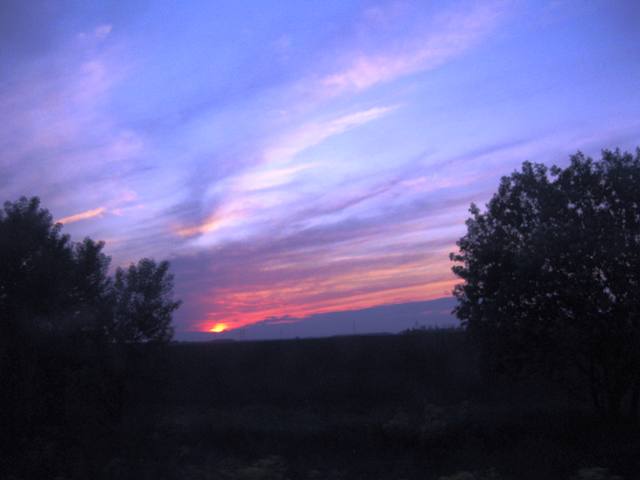 Выставка май 2009