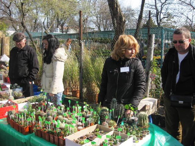 Выставка 11-12 апреля 2009 (Одесса)