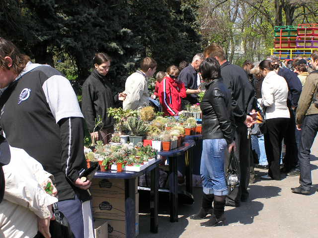 Выставка 19-20 апреля 2008 (Одесса)