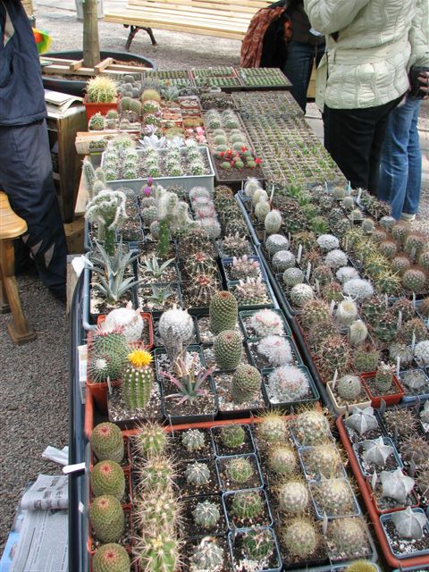 Выставка 21-22 апреля 2007 (Одесса)