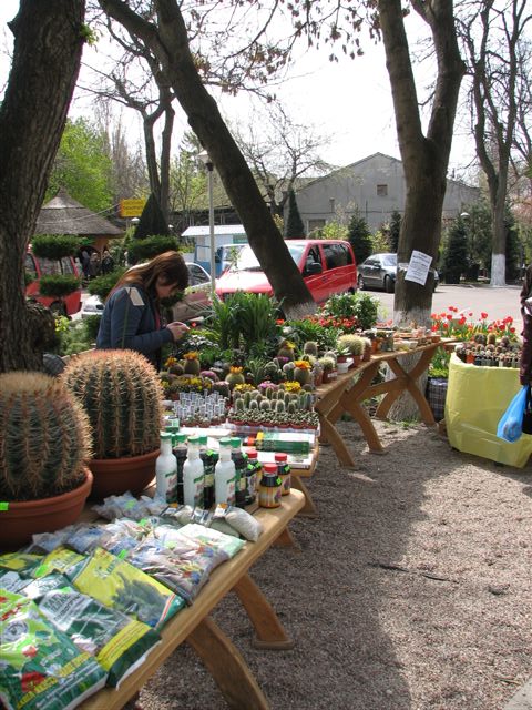 Выставка 21-22 апреля 2007 (Одесса)