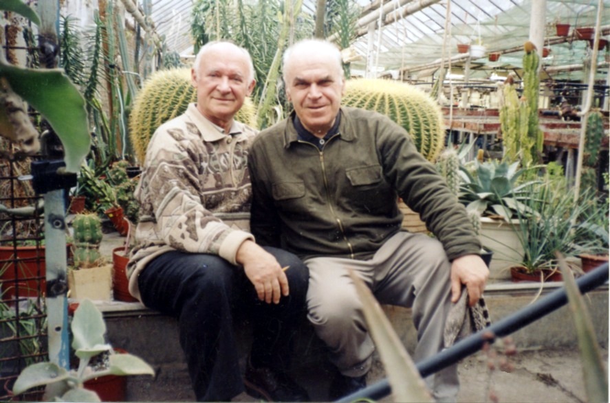 cacti 19
