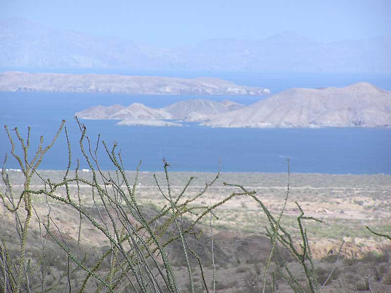 Baja (California)