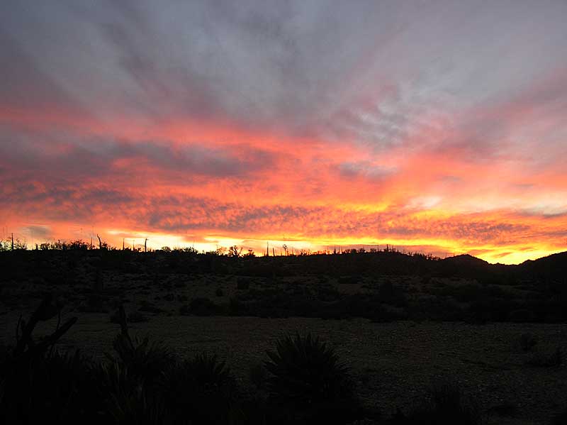 Baja (California)
