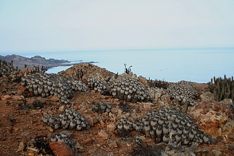 Чили, Аргентина