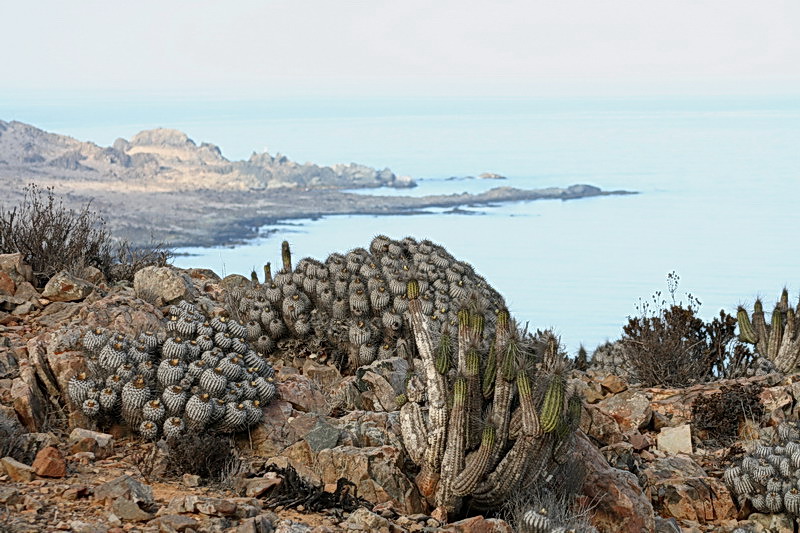 Чили, Аргентина
