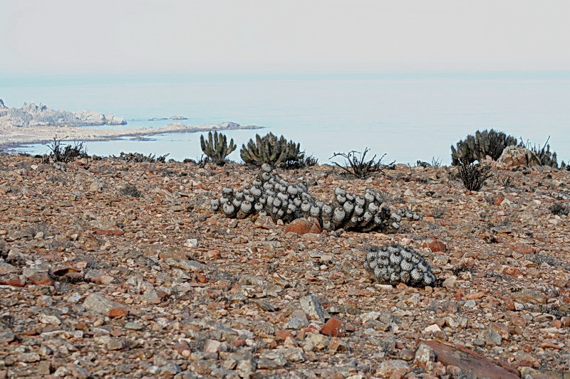 Чили, Аргентина