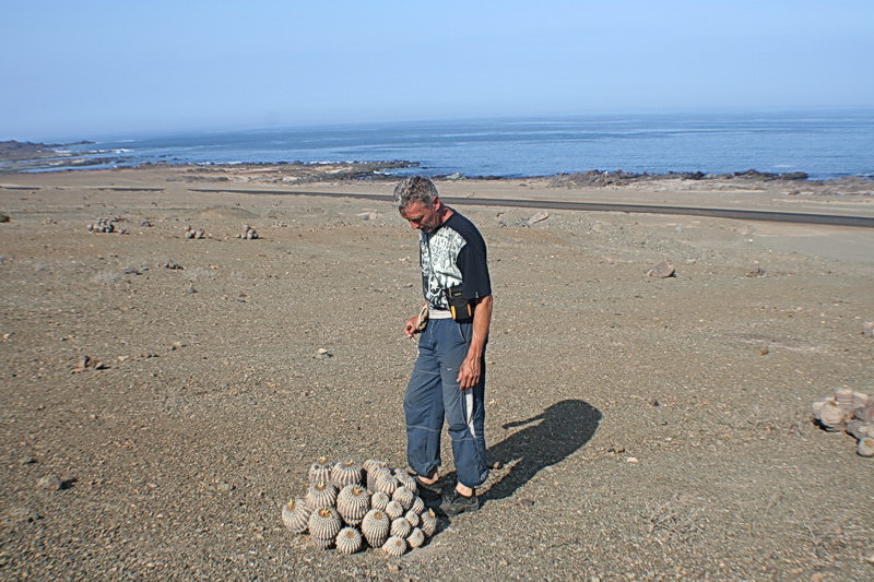 Чили, Аргентина