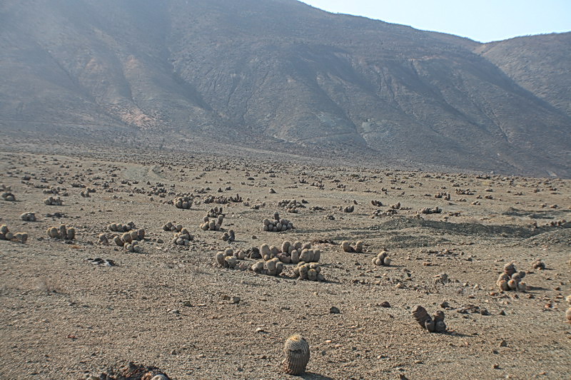 Чили, Аргентина