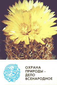 Календарик