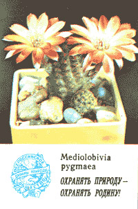 Календарик