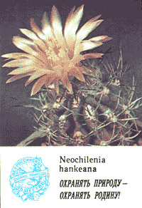 Календарик