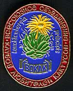 Значок ВОКЛК