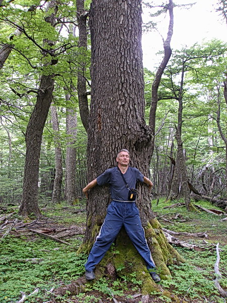 Поездка Сергея Червинко  в Чили, Аргентину зимой 2007